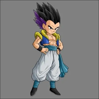 Que montre Goku  Goten et Trunks pour qu'ils travaillent srieusement la fusion ?