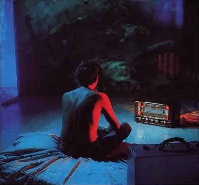 Cet album est de ... .