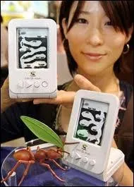 Lequel a-t-il vu son effigie brle par des japonais pour avoir dit d'eux  Ce sont des fourmis menant des existences dmesurment laborieuses et inacceptables pour les standards europens.   ?