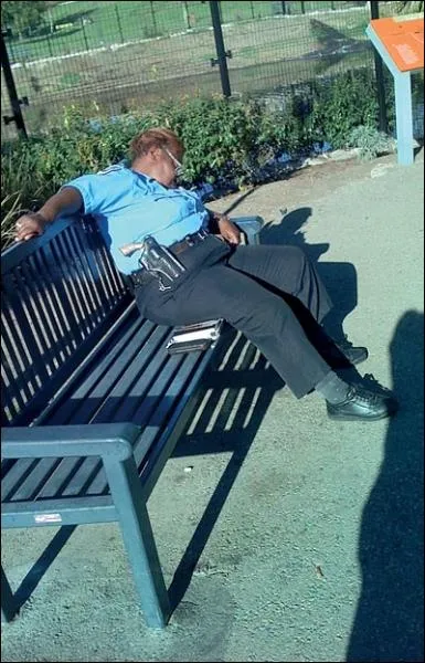 Citation de Coluche : Dans l'administration, on ne doit pas dormir au bureau le matin ...