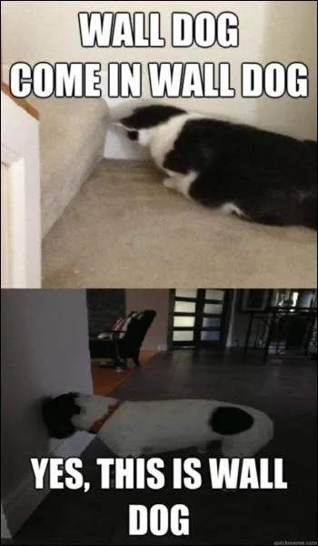 Another Brick in The Wall, ces quelques mots devraient vous parler !