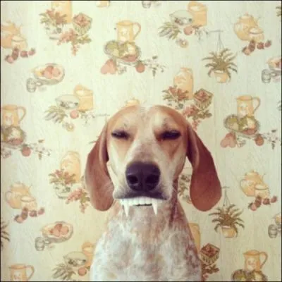 Pris d'inspiration, cet auteur crivit le roman d'un comte vampirique !