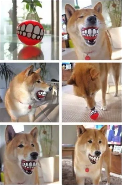 Expression signifiant qu'il ou elle vous en veut vraiment !