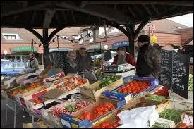 Le mot commence par : Bo ...