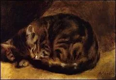 Chat dormant , 1862