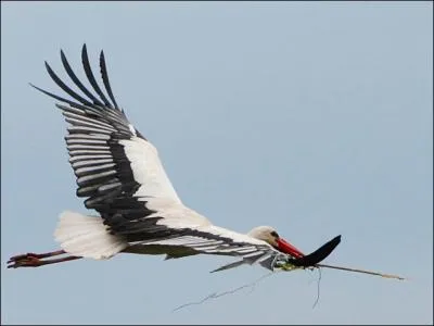 Toute jeune, c'est ainsi que ses camarades de classe surnommaient cette actrice !