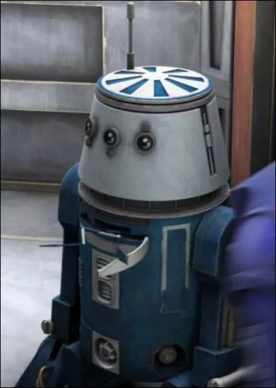 Comment s'appelle ce drode