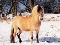 Pour quelles activits est-il utilis ?