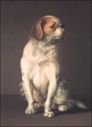 Portrait d'un pagneul du roi Charles, 1805