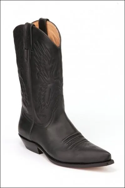 Comment s'appelle cette chaussure ?