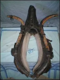 Le mot commence par : B ...