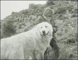 Le mot commence par : B ...