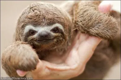 On ne peut pas dire que vous soyez vraiment press !