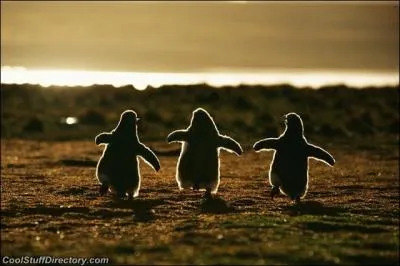 Moi, je ne trouve pas votre dmarche si impriale que a !