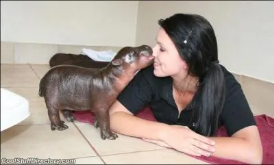 Vous tes minuscule, alors attention, on pourrait vous confondre !