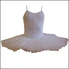  quel sport correspond cet accessoire ?