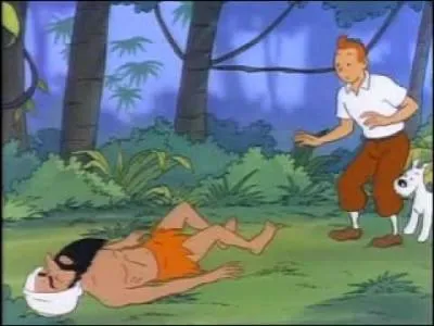 Voici  Les cigares du Pharaon . Quel mchant n'apparat pas dans ce dessin anim ?