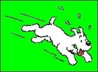 Dans Tintin au Tibet, comment le petit garon moine surnomme-t-il Milou ?