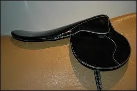 Quelle est cette selle ?
