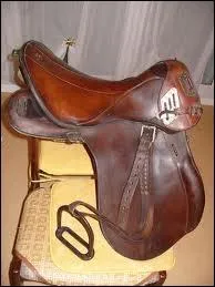 Quelle est cette selle ?