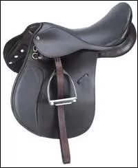 Quelle est cette selle ?