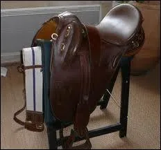Quelle est cette selle ?