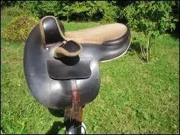 Quelle est cette selle ?