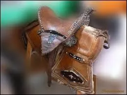 Quelle est cette selle ?