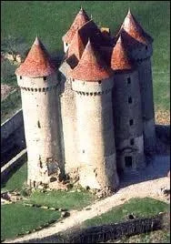 La forteresse de Sarzay est un des sites d'un auteur rgional qui y situa d'ailleurs l'intrigue de son roman : le meunier d'Angibault.