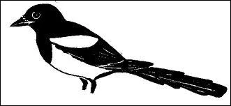 Le mot commence par : Ta ...