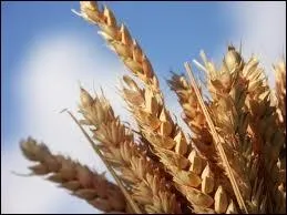 Le mot commence par : Ta ...