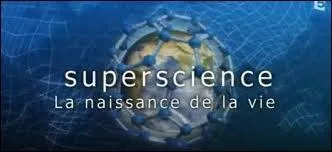 Dans quel ordre sont-ils apparus sur terre ? D'abord, les poissons, puis les insectes, ensuite les amphibiens. Plus tard, sont apparus les
