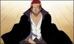 Qui a perdu son bras pour sauver la vie de Luffy ?