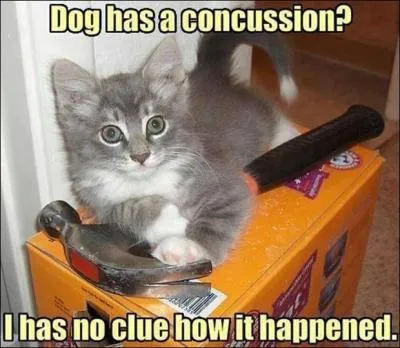 Une citation fracassante !