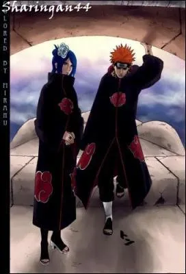 De quel village Pein et Konan sont originaires ?