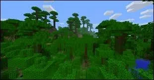 Quel est ce biome ?