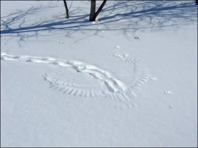 Les traces du livre s'arrtent  cet endroit, mystre, que s'est-il pass ?