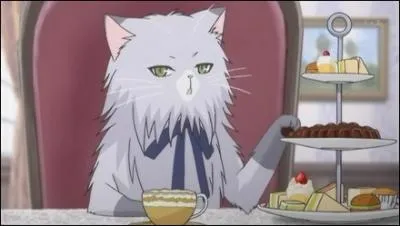 Qui est l'ami chat de Lydia ?