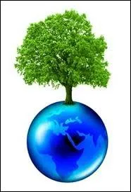 cologie : qu'est-ce que l'cophysiologie ?