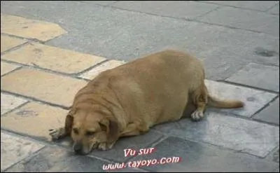 Dfinition astrologique de l'obsit !