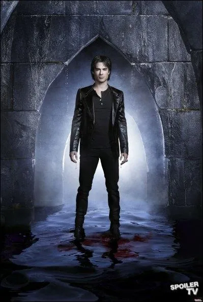 Dans quel but revient-il  Mystic Falls ?