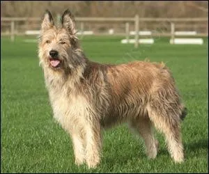 Qu'en est-il de celui-l ?