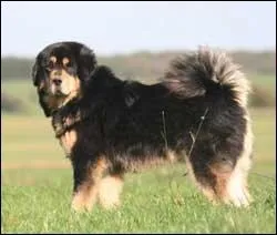 Qu'en est-il de celui-l ?