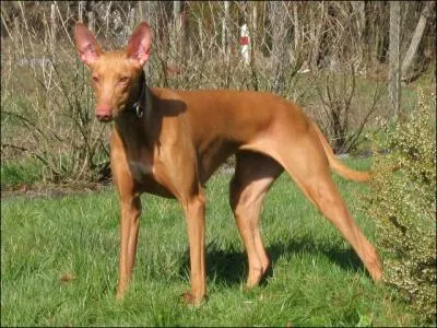 Qu'en est-il de celui-ci ?