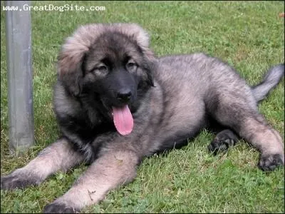 Qu'en est-il de celui-l ?