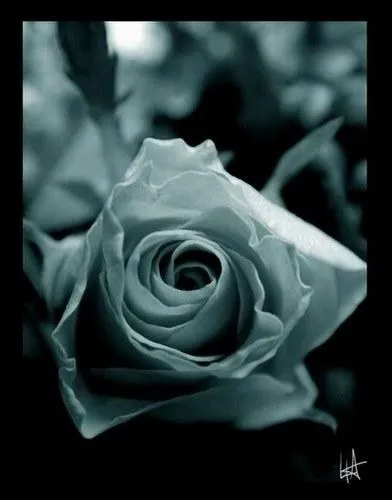 Comment traduit-on  gris  en espagnol ?