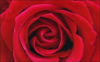 Comment traduit-on  rouge  en espagnol ?