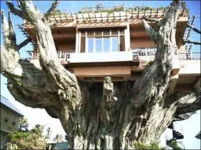 Roman d'Agatha Christie, mettant en scne trois gnrations d'une famille, qui vivent dans une maison plutt bizarre !