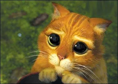 A quelle occasion Shrek rencontre-t-il Pott ?