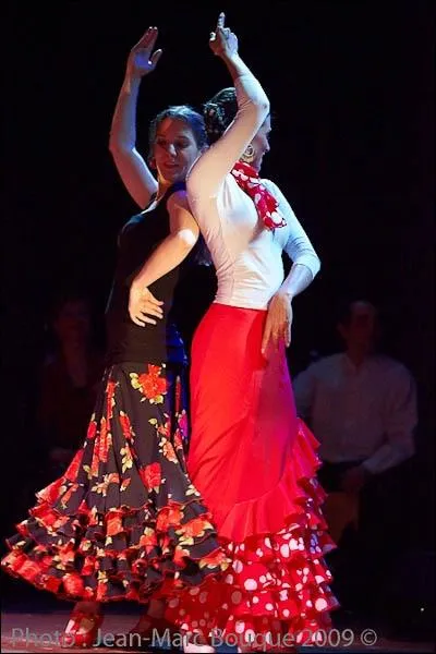 Quelle danse de caractre, vous voque cette image ?